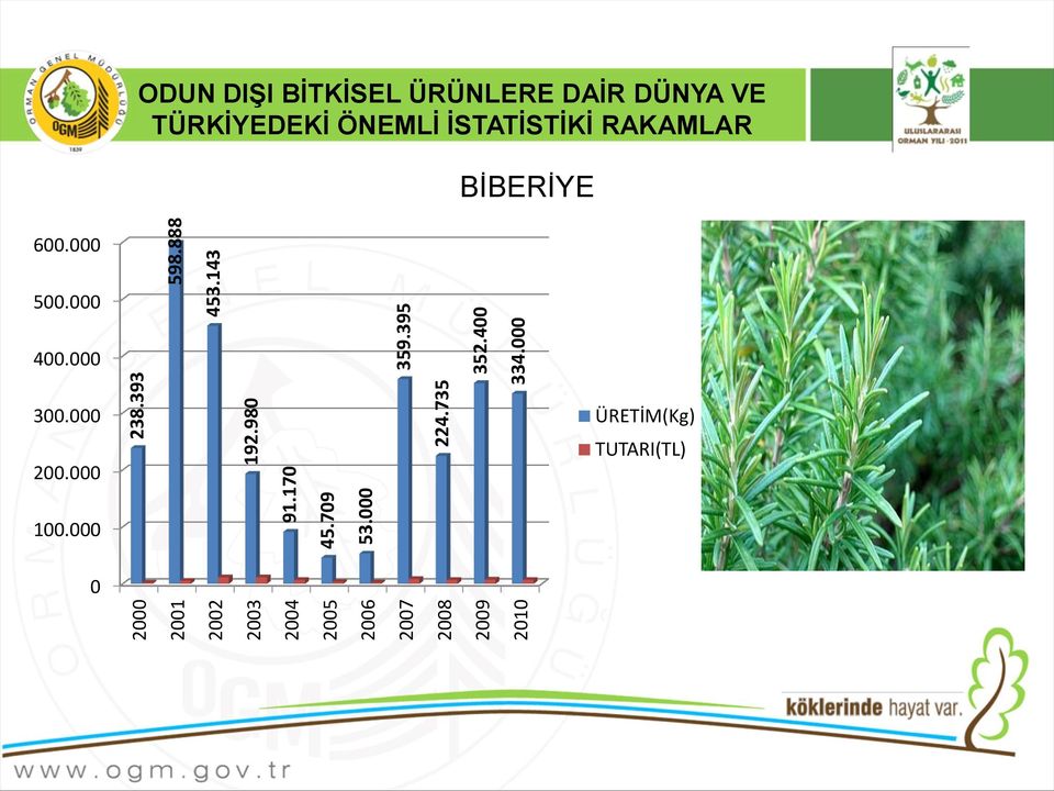 143 ODUN DIŞI BİTKİSEL ÜRÜNLERE DAİR DÜNYA VE TÜRKİYEDEKİ ÖNEMLİ İSTATİSTİKİ