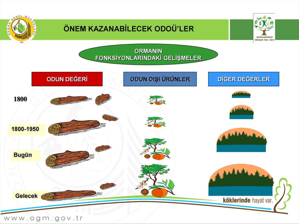 ORMANIN FONKSİYONLARINDAKİ GELİŞMELER