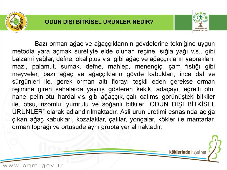 altı florayı teşkil eden gerekse orman rejimine giren sahalarda yayılış gösteren kekik, adaçayı, eğrelti otu, nane, pelin otu, hardal v.s. gibi ağaççık, çalı, çalımsı görünüşteki bitkiler ile, otsu, rizomlu, yumrulu ve soğanlı bitkiler ODUN DIŞI BİTKİSEL ÜRÜNLER olarak adlandırılmaktadır.