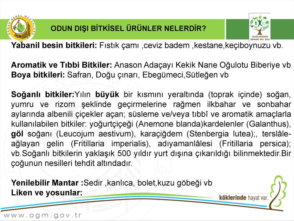 içinde) soğan, yumru ve rizom şeklinde geçirmelerine rağmen ilkbahar ve sonbahar aylarında albenili çiçekler açan; süsleme ve/veya tıbbî ve aromatik amaçlarla kullanılabilen bitkiler: yoğurtçiçeği