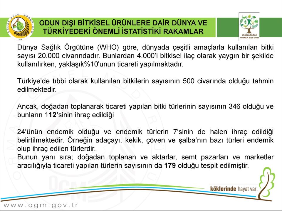 Ancak, doğadan toplanarak ticareti yapılan bitki türlerinin sayısının 346 olduğu ve bunların 112 sinin ihraç edildiği 24 ünün endemik olduğu ve endemik türlerin 7 sinin de halen ihraç edildiği