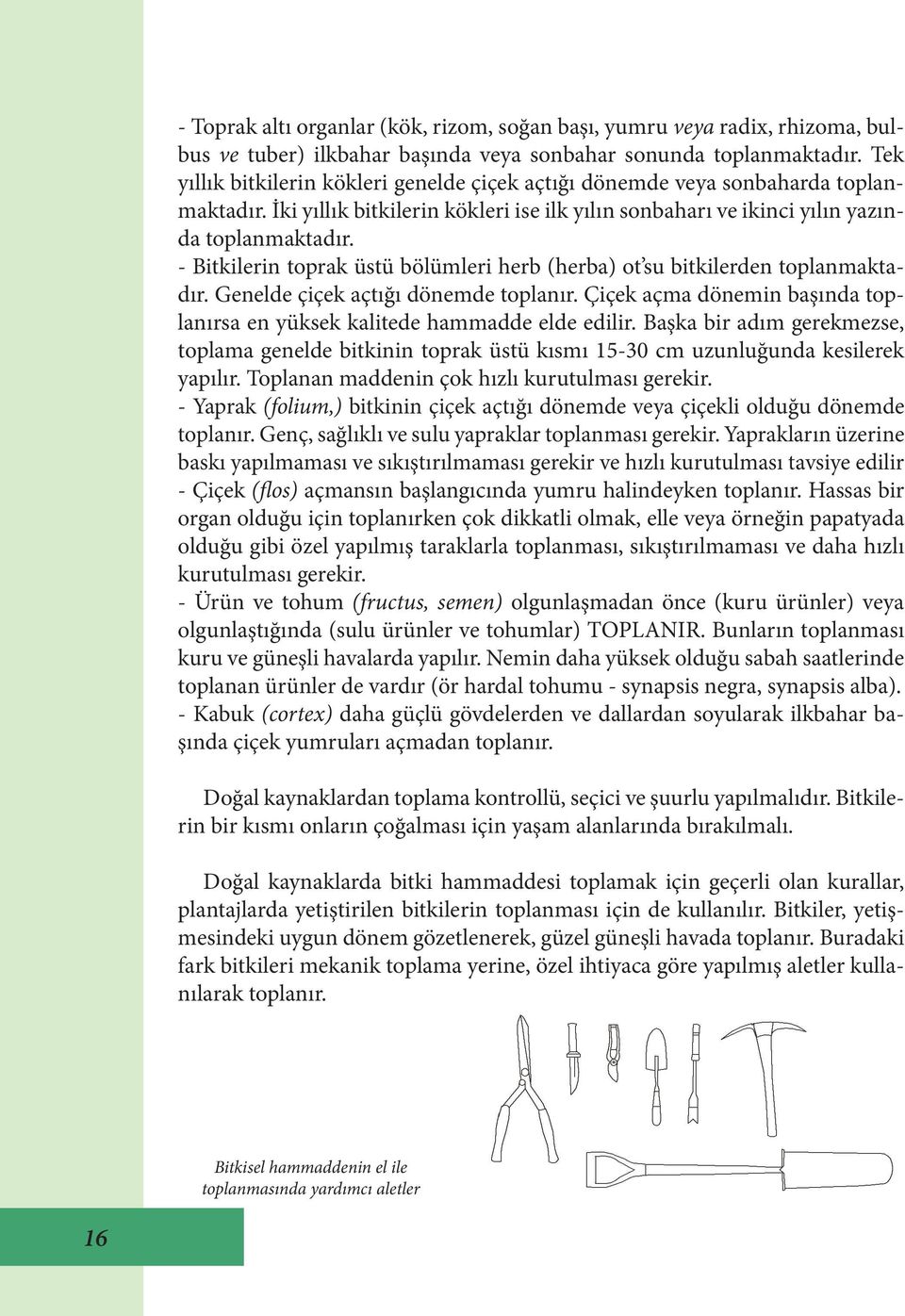 - Bitkilerin toprak üstü bölümleri herb (herba) ot su bitkilerden toplanmaktadır. Genelde çiçek açtığı dönemde toplanır. Çiçek açma dönemin başında toplanırsa en yüksek kalitede hammadde elde edilir.