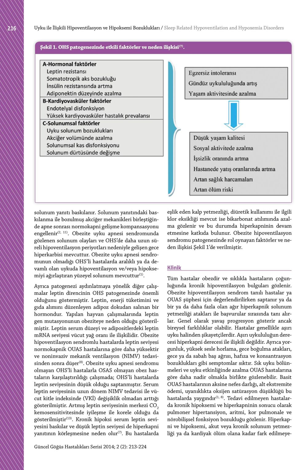 Obezite uyku apnesi sendromunda gözlenen solunum olayları ve OHS de daha uzun süreli hipoventilasyon periyotları nedeniyle gelişen gece hiperkarbisi mevcuttur.