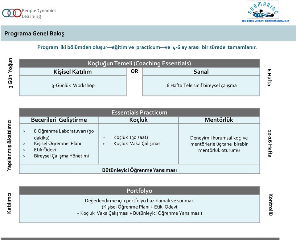 8 Öğrenme Laboratuvarı (90 dakika) > Kişisel Öğrenme Planı > Etik Ödevi > Bireysel Çalışma Yönetimi > Koçluk (3o saat) > Koçluk Vaka Çalışması Deneyimli kurumsal koç ve mentörlerle üç tane birebir