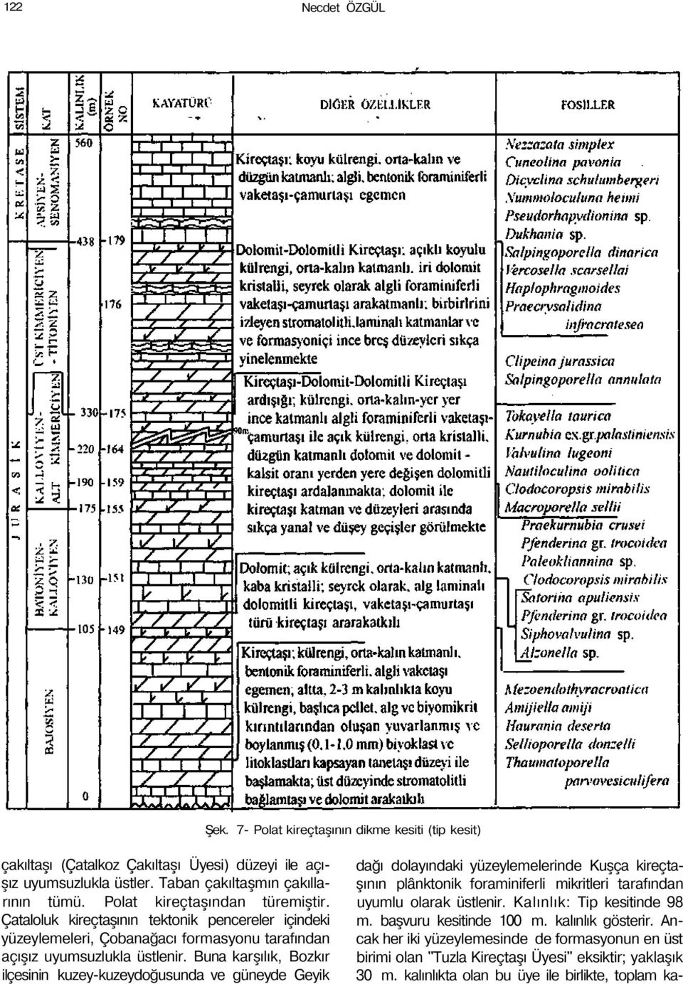 Buna karşılık, Bozkır ilçesinin kuzey-kuzeydoğusunda ve güneyde Geyik dağı dolayındaki yüzeylemelerinde Kuşça kireçtaşının plânktonik foraminiferli mikritleri tarafından uyumlu olarak üstlenir.