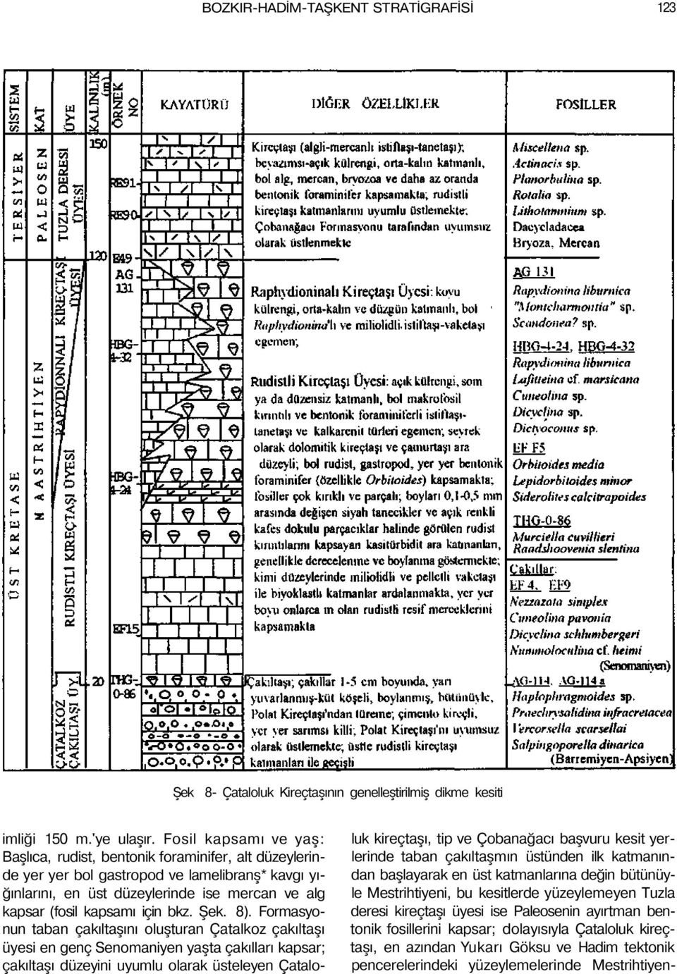 bkz. Şek. 8).