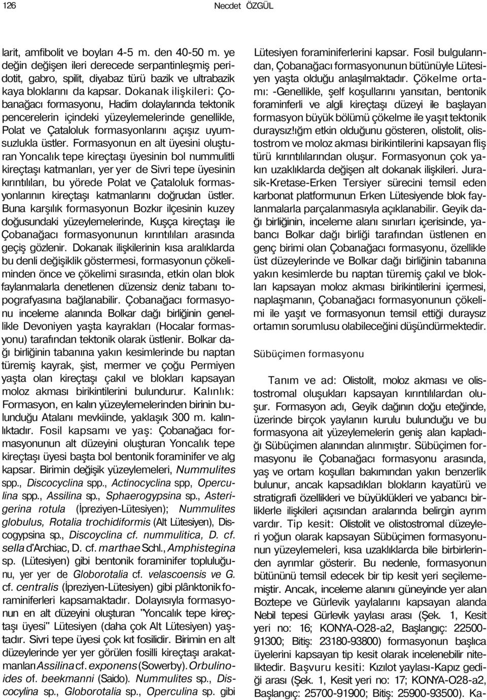 Formasyonun en alt üyesini oluşturan Yoncalık tepe kireçtaşı üyesinin bol nummulitli kireçtaşı katmanları, yer yer de Sivri tepe üyesinin kırıntılıları, bu yörede Polat ve Çataloluk formasyonlarının