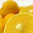 Limon ve diğer turunçgiller içerisinde sitrik asit bulunur.