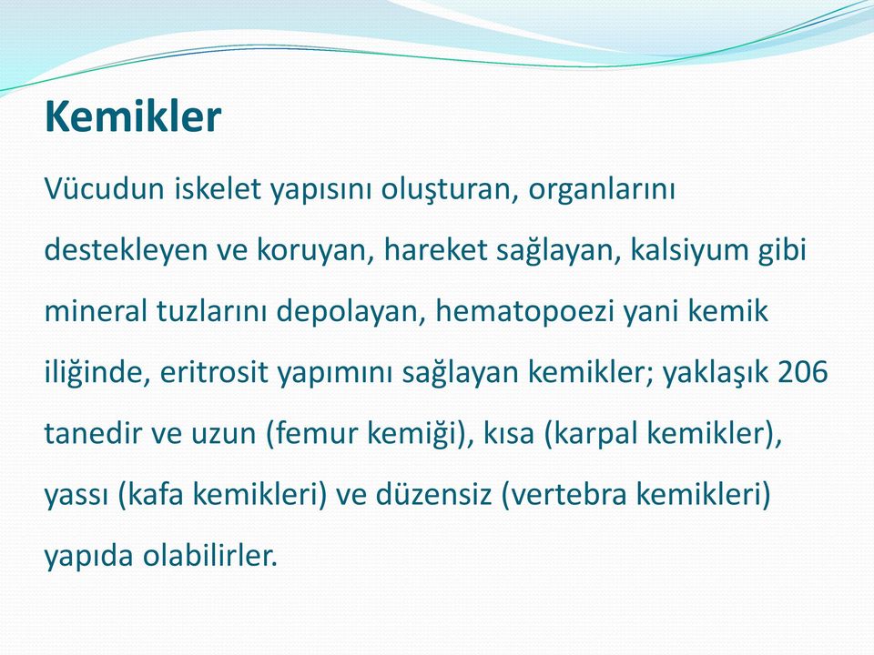 eritrosit yapımını sağlayan kemikler; yaklaşık 206 tanedir ve uzun (femur kemiği), kısa