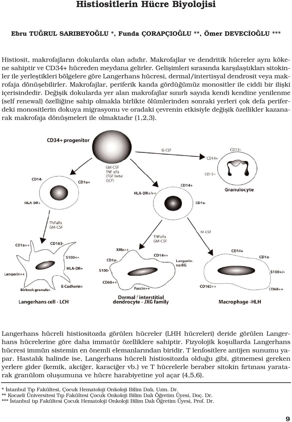 Geliflimleri s ras nda karfl laflt klar sitokinler ile yerlefltikleri bölgelere göre Langerhans hücresi, dermal/intertisyal dendrosit veya makrofaja dönüflebilirler.