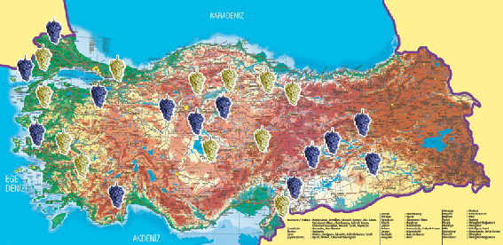 1 6 2 3 5 4 7 Şekil 7.1 Türkiye üzüm haritası (Daire içine alınan bölgeler incelenen numunelerin alındığı yerleri göstermektedir) [38] Çizelge 7.