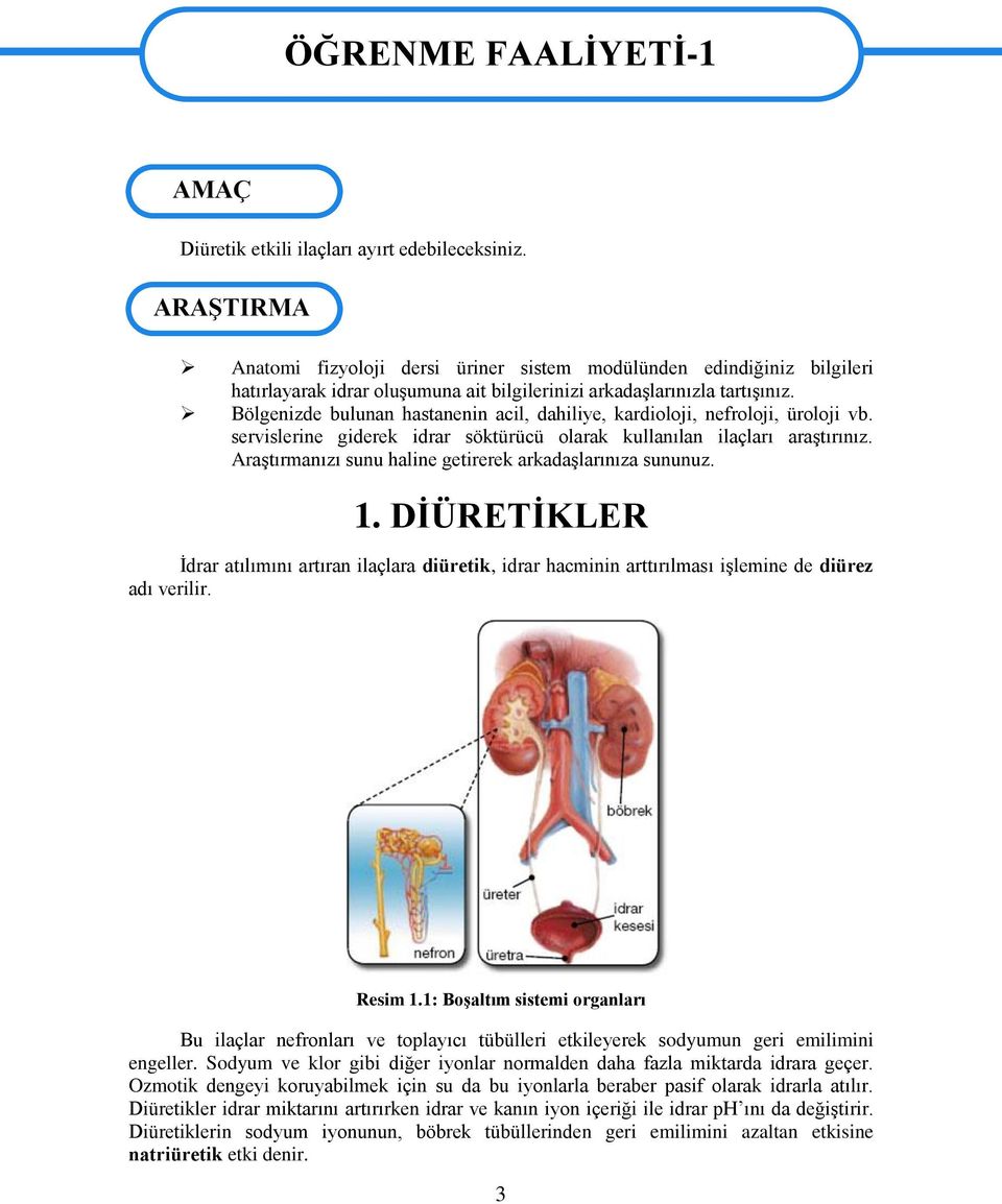 Bölgenizde bulunan hastanenin acil, dahiliye, kardioloji, nefroloji, üroloji vb. servislerine giderek idrar söktürücü olarak kullanılan ilaçları araştırınız.