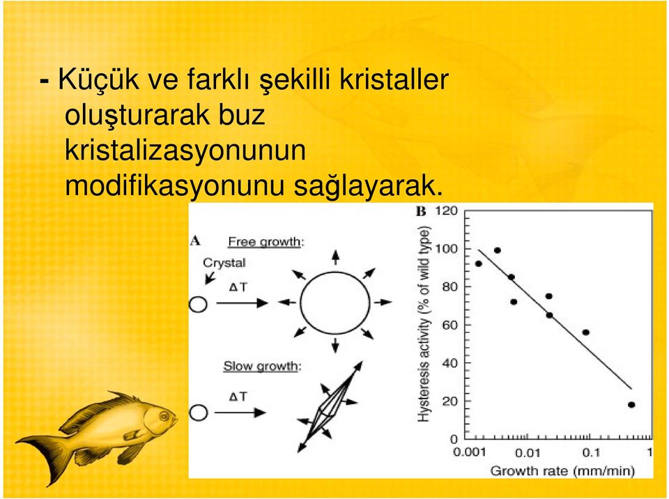 buz kristalizasyonunun