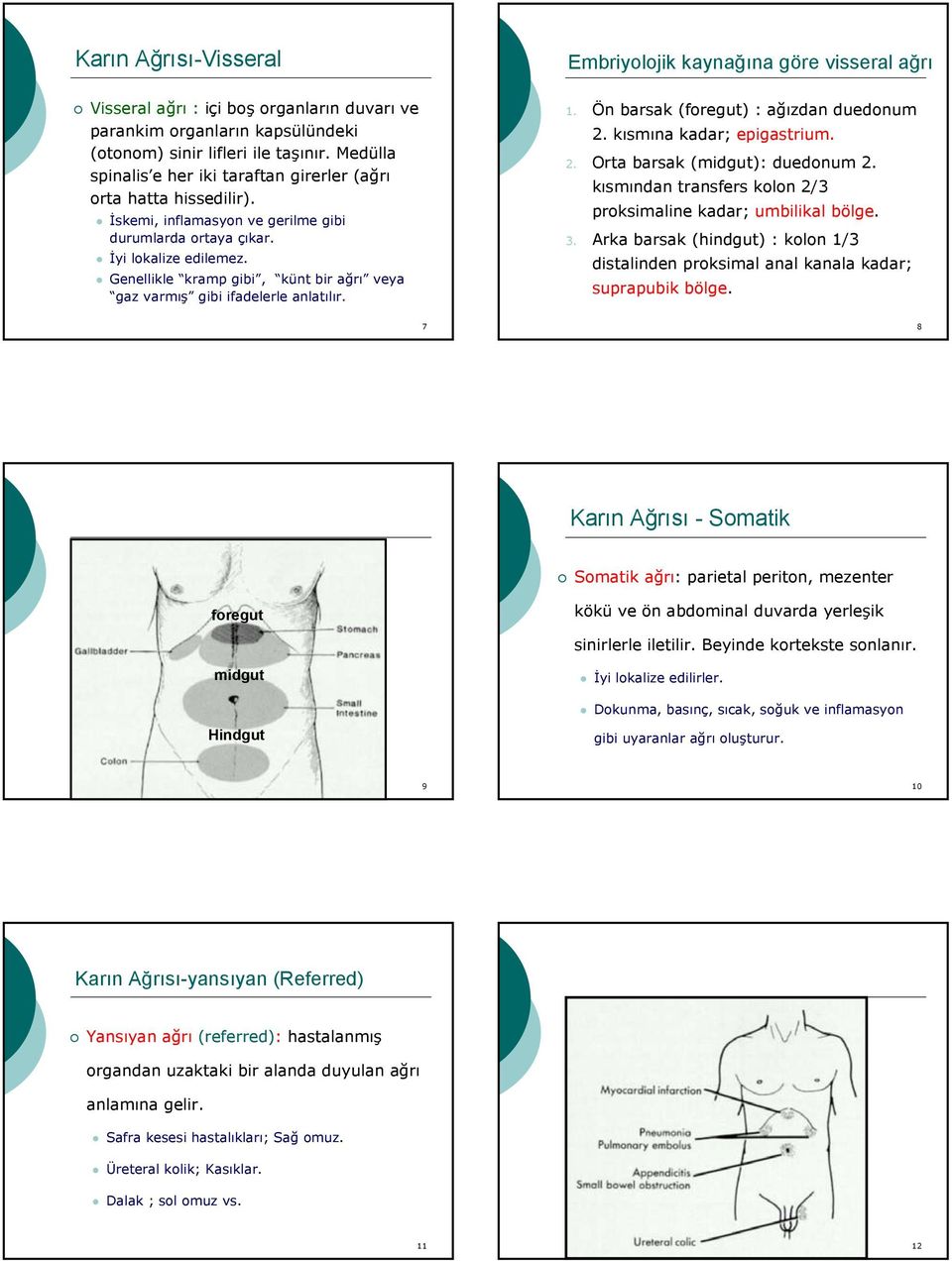 Genellikle kramp gibi, künt bir ağrı veya gaz varmış gibi ifadelerle anlatılır. Embriyolojik kaynağına göre visseral ağrı 1. Ön barsak (foregut) : ağızdan duedonum 2. kısmına kadar; epigastrium. 2. Orta barsak (midgut): duedonum 2.