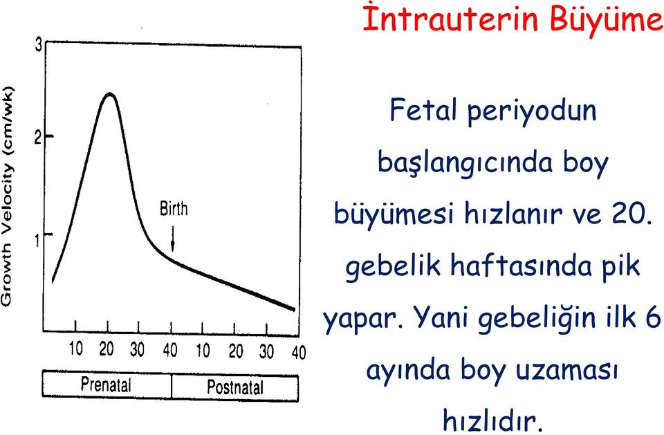 20. gebelik haftasında pik yapar.