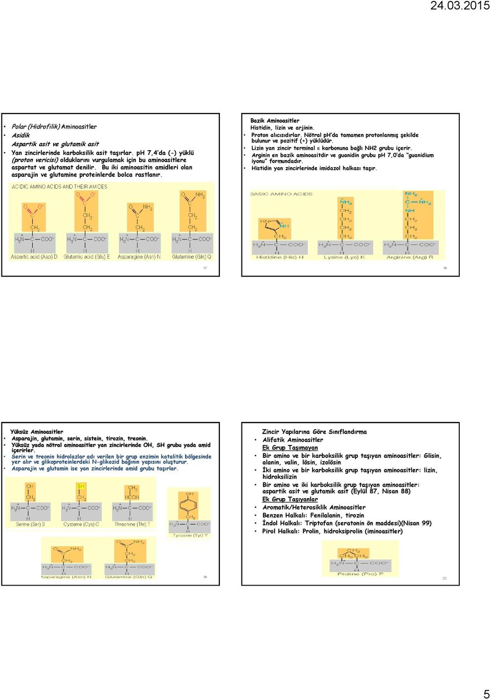 Bazik Aminoasitler Histidin, lizin ve arjinin. Proton alıcısıdırlar. Nötral ph da tamamen protonlanmış şekilde bulunur ve pozitif (+) yüklüdür.