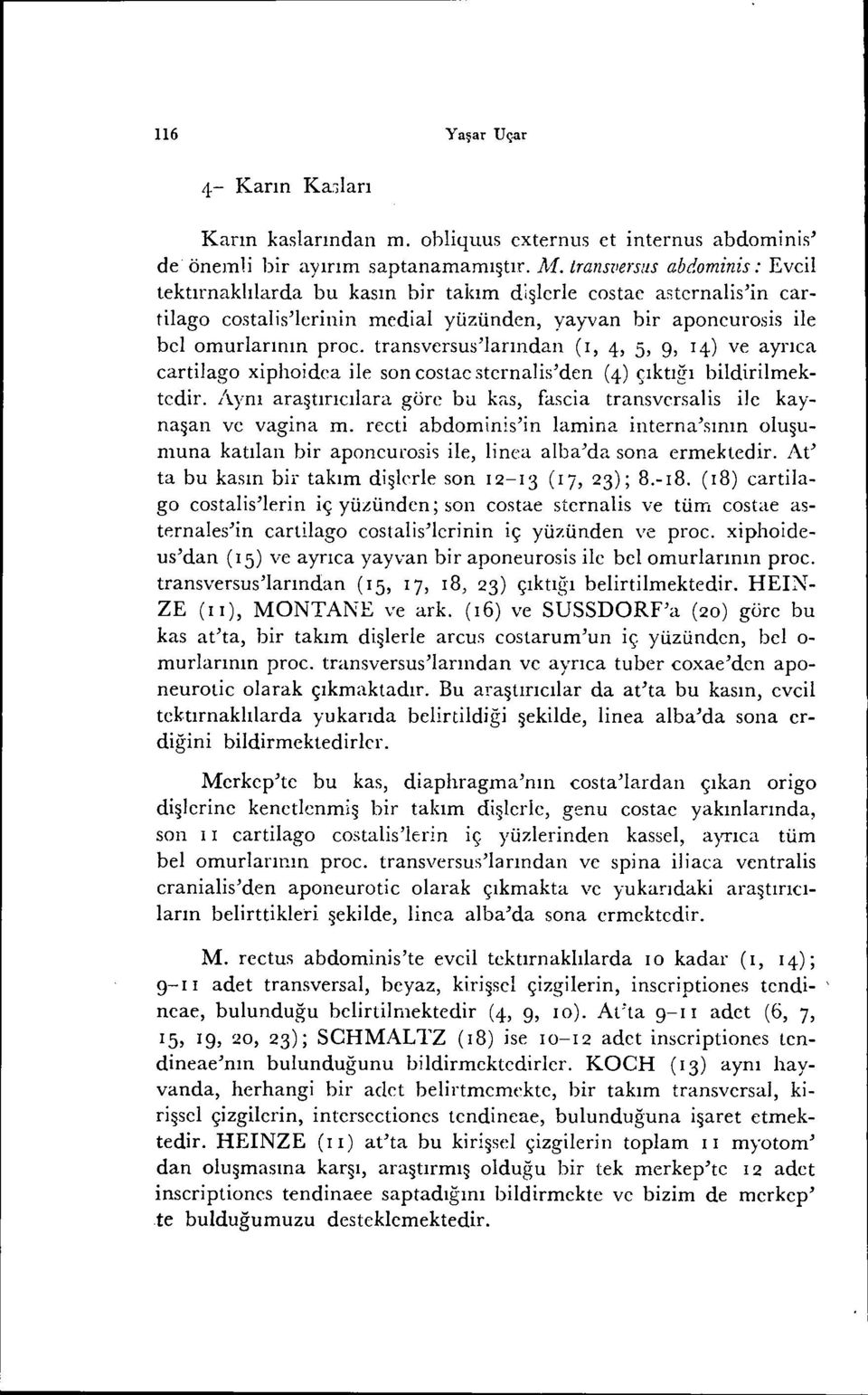 transversus'larından (I, 4, 5, g, 14) ve ayrıca cartilago xipiıoidea ile son costae sternalis'den (4) çıktığı bildirilmektedir.