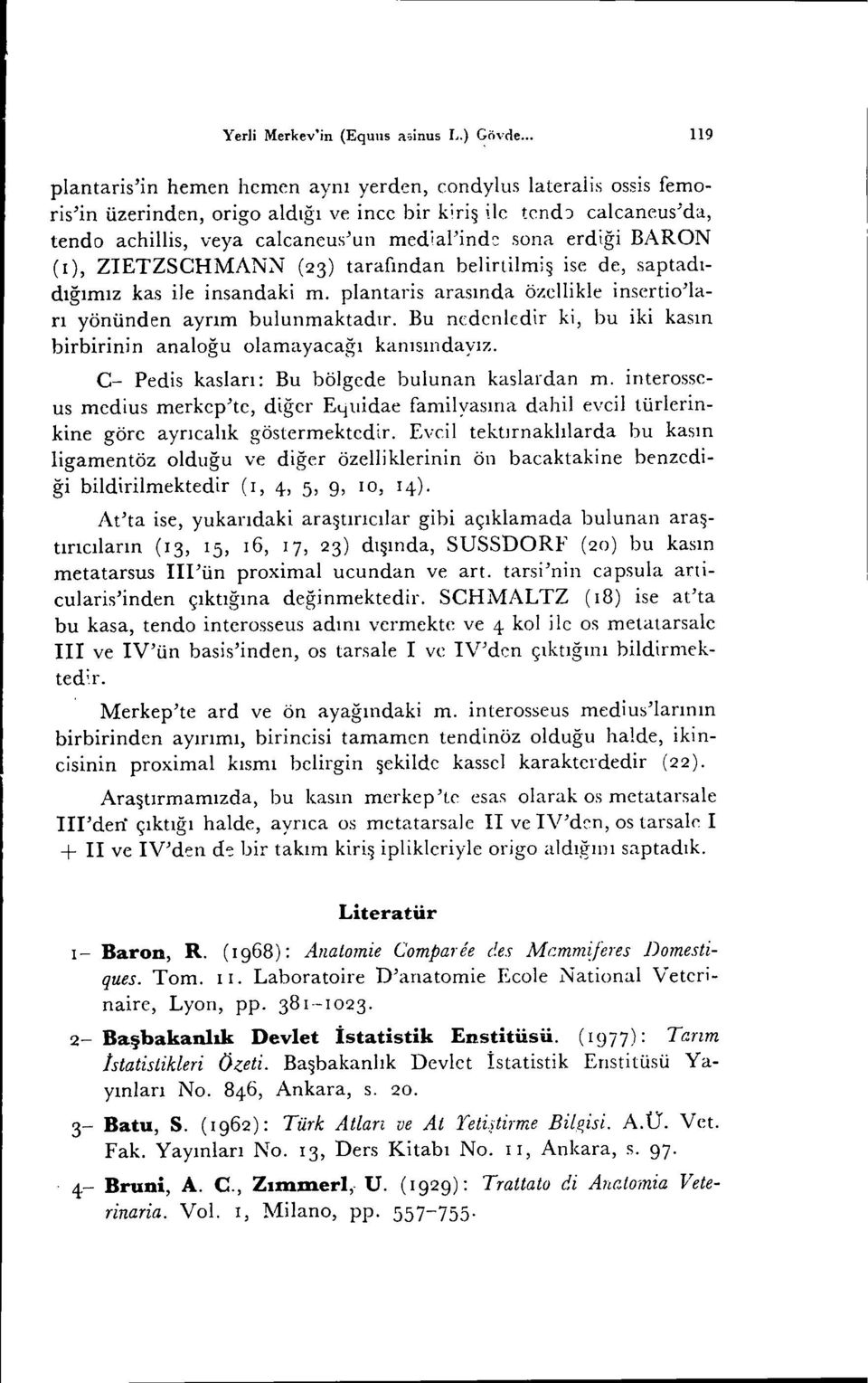 erdiği BARON (I), ZIETZSCHMAN~ (23) tarafından belirtilmiş ise de, saptadıdığımız kas ile insandaki m. plantaris arasında özellikle insertio'ları yönünden ayrım bulunmaktadır.