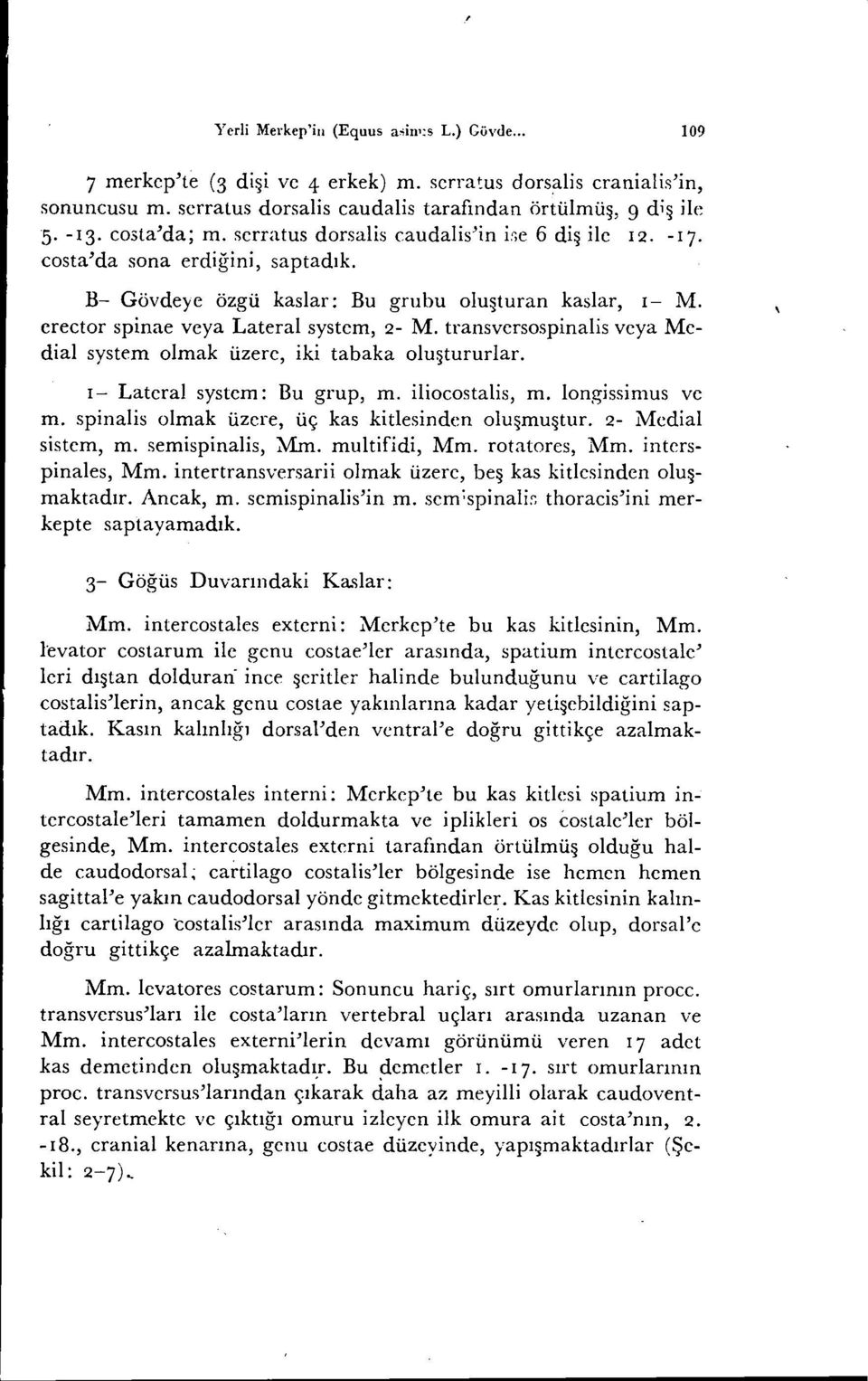 transversospinalis veya Medial system olmak üzere, iki tabaka oluştururlar. 1- Lateral system: Bu grup, m. iliocostalis, m. longissimus ve m. spinalis olmak üzere, üç kas kitlesinden oluşmuştur.