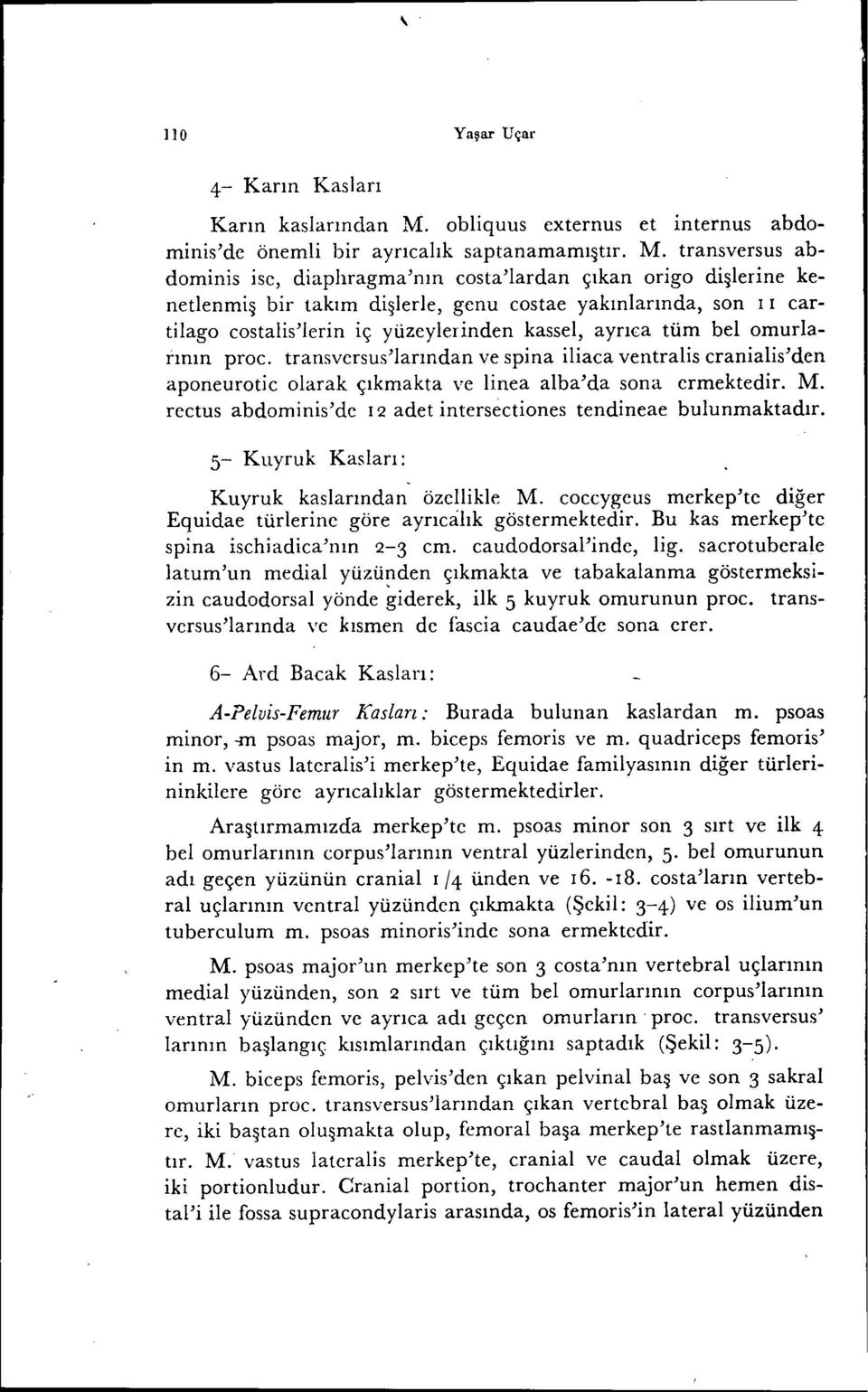 transversus abdominis ise, diaphragma'nın costa'lardan çıkan origo di~lerine kenetlenmi~ bir takım di~lerle, genu costae yakınlarında, son i i cartilago costalis'lerin iç yüzeylerinden kassel, ayrıca