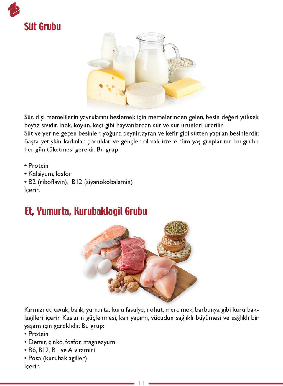 Başta yetişkin kadınlar, çocuklar ve gençler olmak üzere tüm yaş gruplarının bu grubu her gün tüketmesi gerekir. Bu grup: Protein Kalsiyum, fosfor B2 (riboflavin), B12 (siyanokobalamin) İçerir.