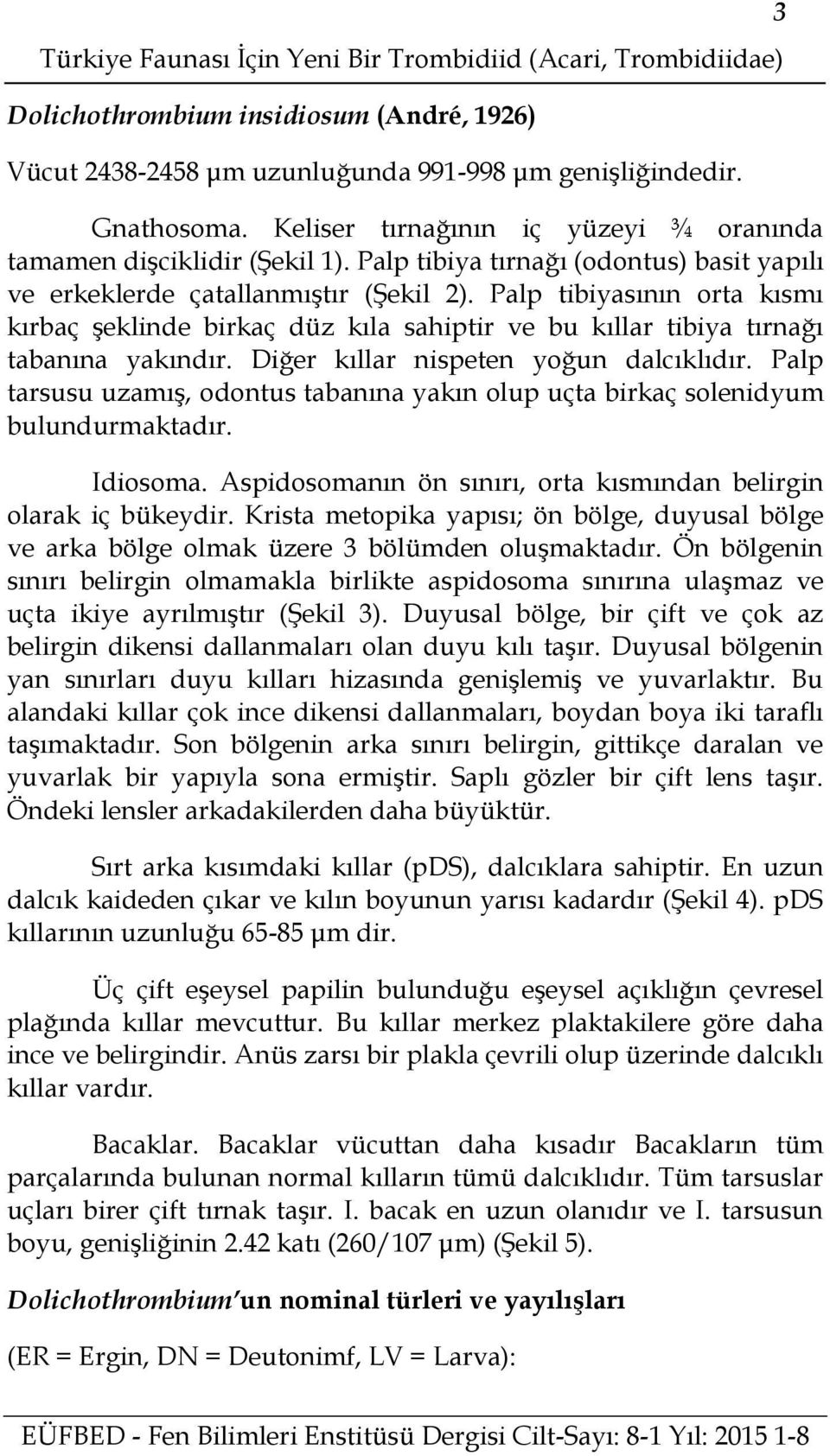 Palp tibiyasının orta kısmı kırbaç şeklinde birkaç düz kıla sahiptir ve bu kıllar tibiya tırnağı tabanına yakındır. Diğer kıllar nispeten yoğun dalcıklıdır.