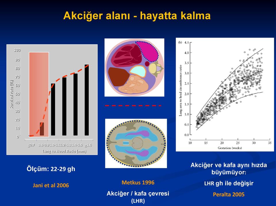 6 Lung to Head Ratio (mm) Ölçüm: 22-29 gh Jani et al 2006 Metkus 1996