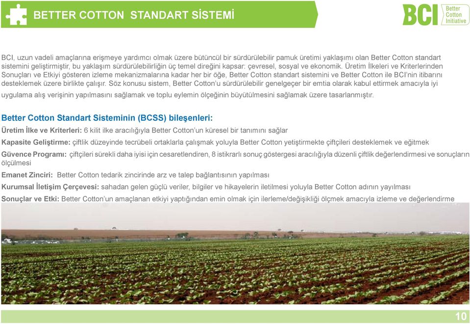 Üretim İlkeleri ve Kriterlerinden Sonuçları ve Etkiyi gösteren izleme mekanizmalarına kadar her bir öğe, Better Cotton standart sistemini ve Better Cotton ile BCI nin itibarını desteklemek üzere