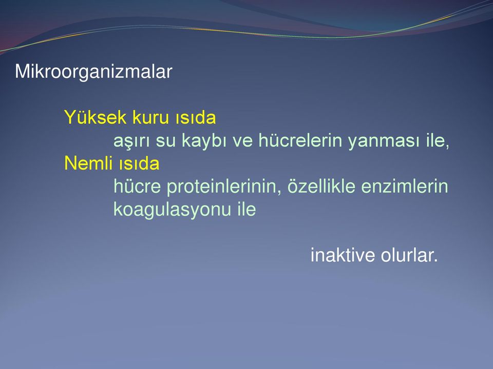 ısıda hücre proteinlerinin, özellikle