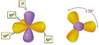 1s 2s 2p x 2p y 2p z 1s sp 2 sp 2 sp 2 2p Şekil 1.6. sp 2 hibritleşmesi. Atomik orbitaller birleşir ve herbirinde birer çiftlenmemiş elektron bulunan üç adet sp 2 orbitali oluşur.
