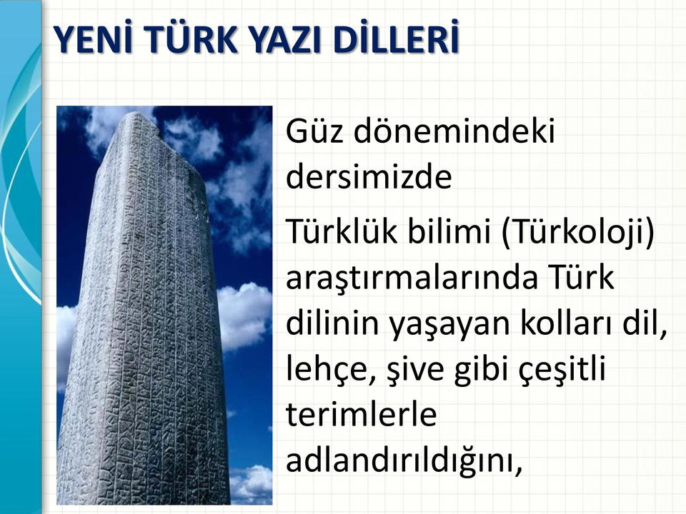 araştırmalarında Türk dilinin yaşayan kolları