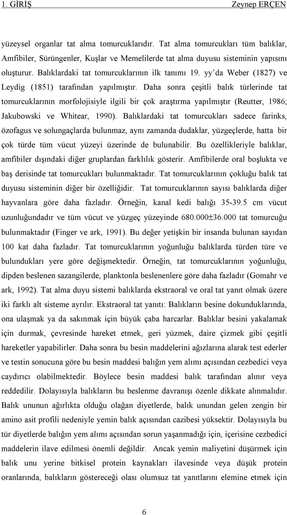 Daha sonra çeşitli balık türlerinde tat tomurcuklarının morfolojisiyle ilgili bir çok araştırma yapılmıştır (Reutter, 1986; Jakubowski ve Whitear, 1990).