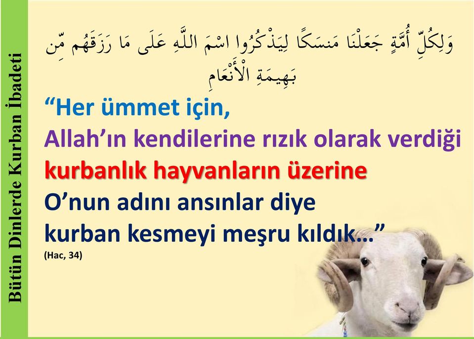 ن ع ام Allah ın kendilerine rızık olarak verdiği kurbanlık hayvanların