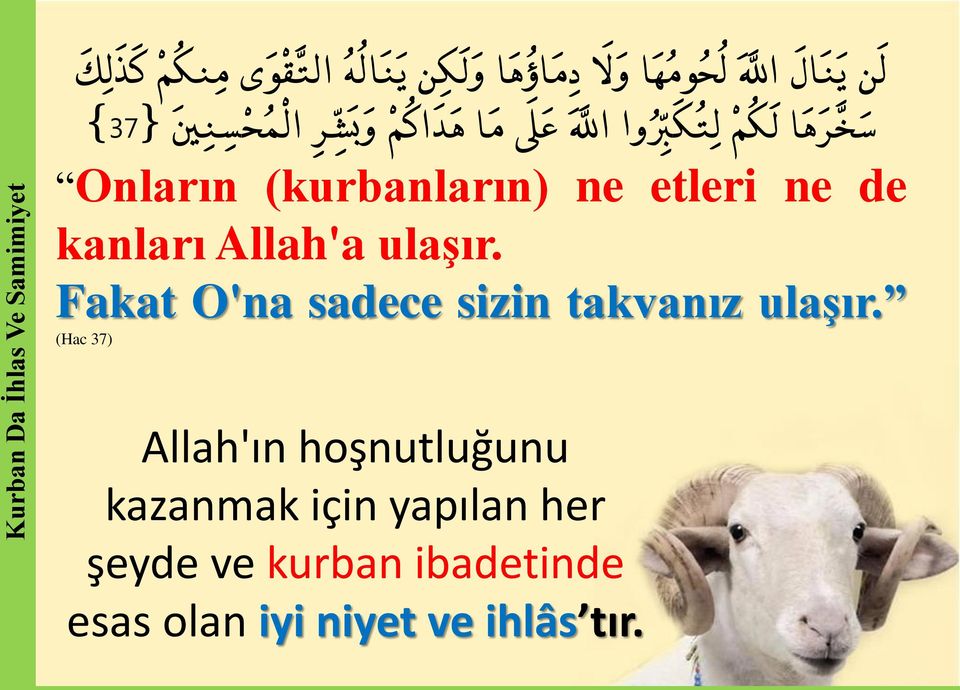 (kurbanların) ne etleri ne de kanları Allah'a ulaşır. Fakat O'na sadece sizin takvanız ulaşır.