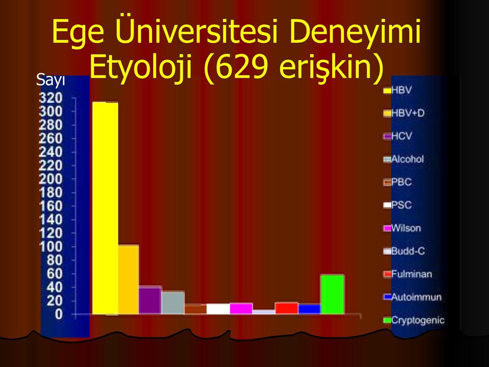 Deneyimi Sayı