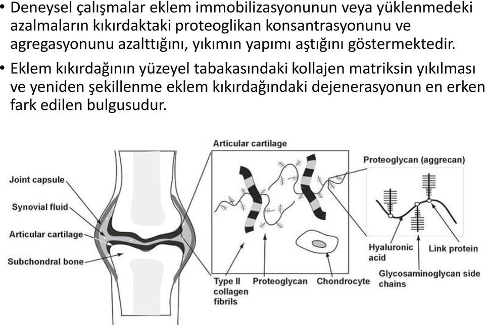 yapımı aştığını göstermektedir.