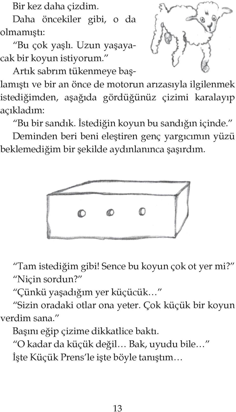 İstediğin koyun bu sandığın içinde. Deminden beri beni eleştiren genç yargıcımın yüzü beklemediğim bir şekilde aydınlanınca şaşırdım. Tam istediğim gibi!