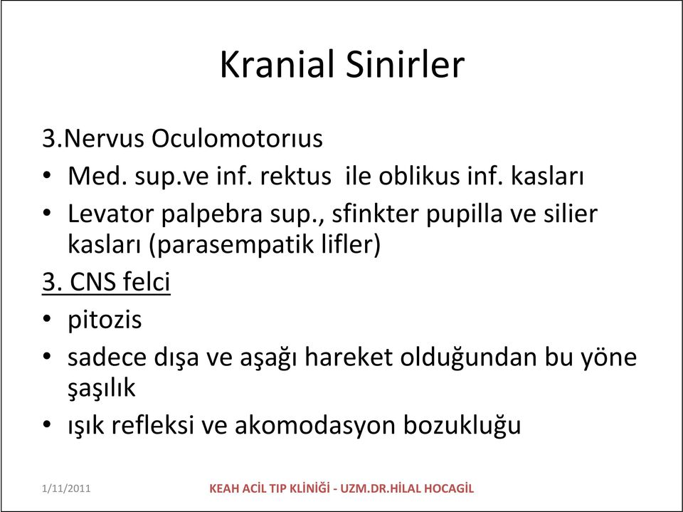 , sfinkter pupilla ve silier kasları (parasempatik lifler) 3.