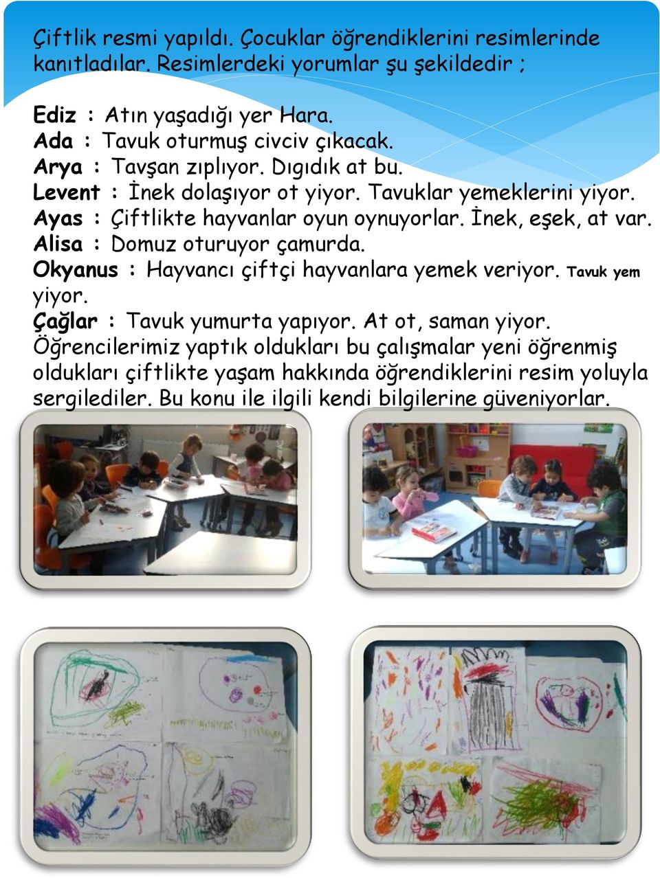 Ayas : Çiftlikte hayvanlar oyun oynuyorlar. İnek, eşek, at var. Alisa : Domuz oturuyor çamurda. Okyanus : Hayvancı çiftçi hayvanlara yemek veriyor. Tavuk yem yiyor.