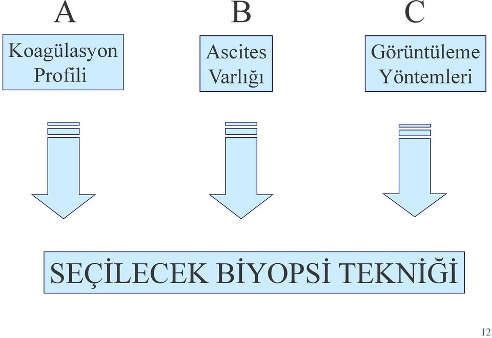 Görüntüleme Yöntemleri