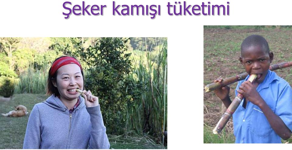 tüketimi