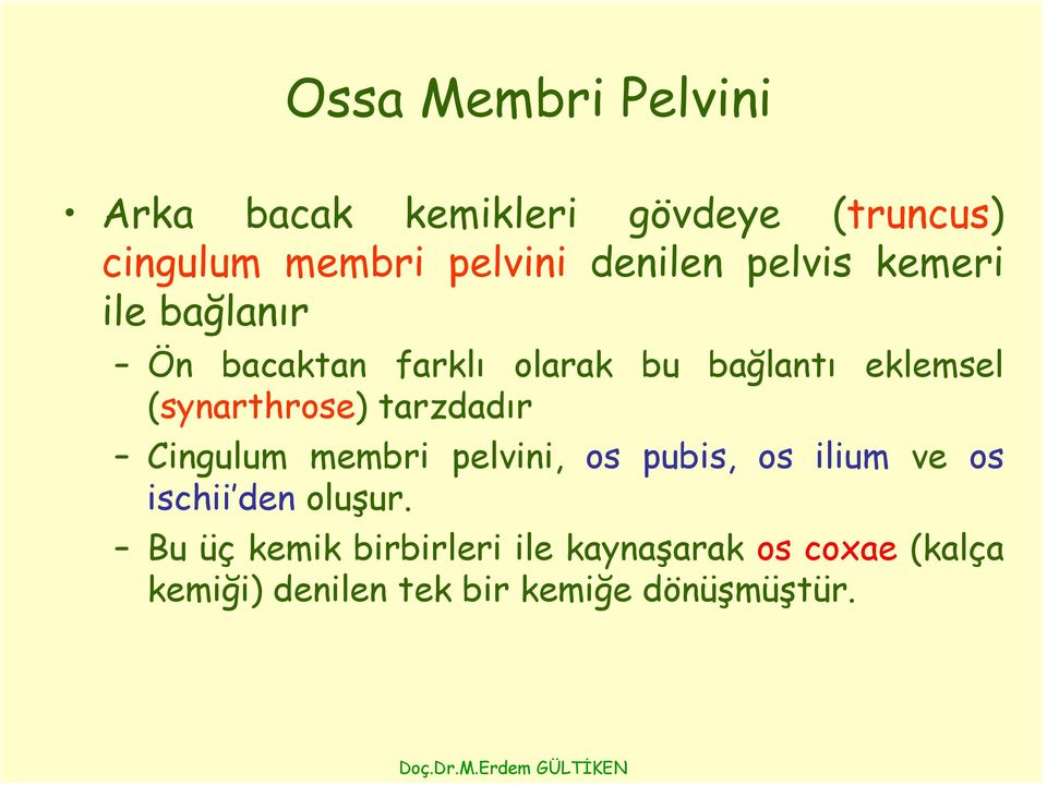 (synarthrose) tarzdadır Cingulum membri pelvini, os pubis, os ilium ve os ischii den