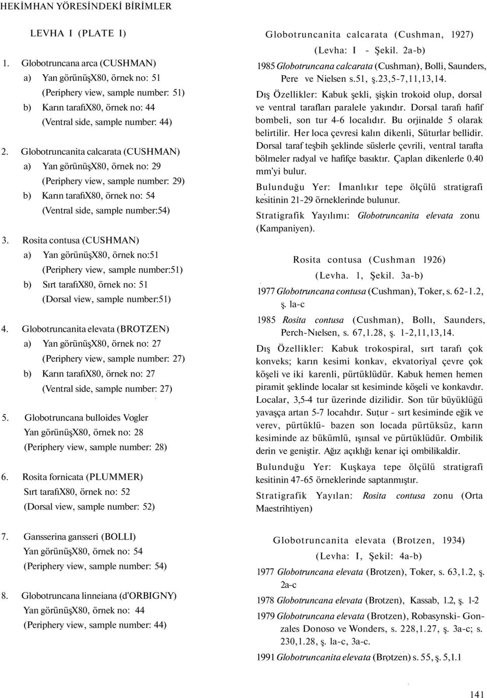 Globotruncanita calcarata (CUSHMAN) a) Yan görünüşx80, örnek no: 29 (Periphery view, sample number: 29) b) Karın tarafıx80, örnek no: 54 (Ventral side, sample number:54) 3.