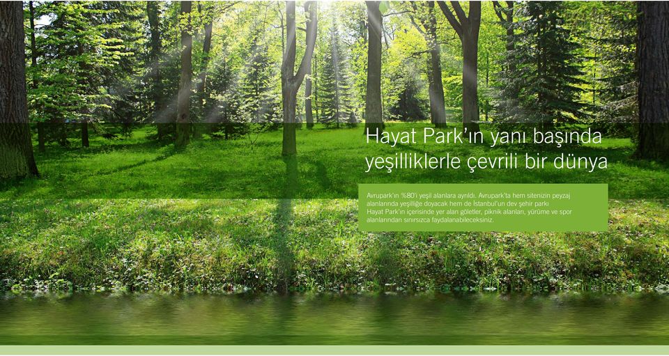 Avrupark ta hem sitenizin peyzaj alanlarında yeşilliğe doyacak hem de İstanbul