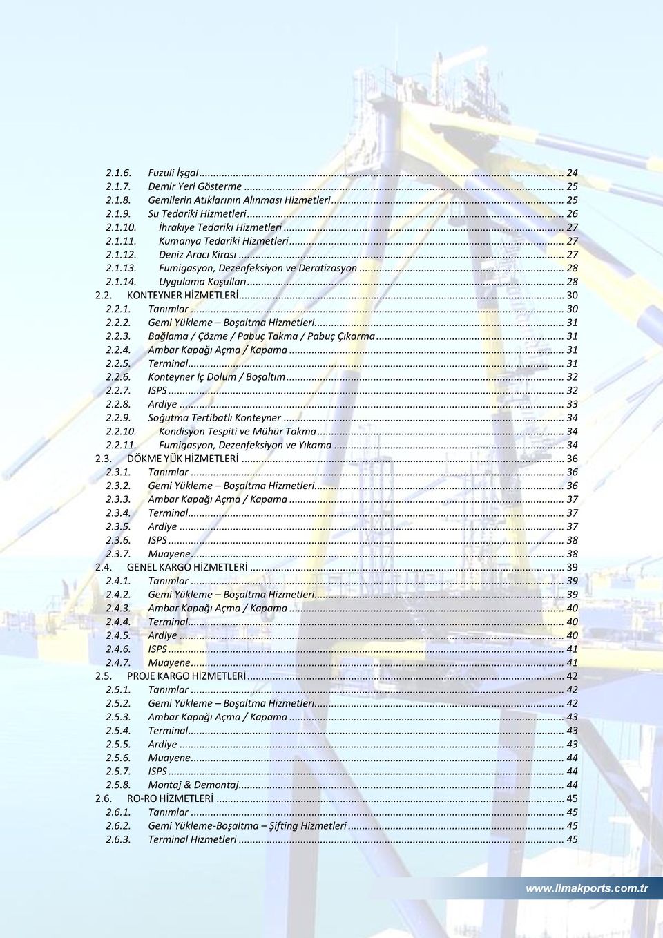 .. 30 2.2.2. Gemi Yükleme Boşaltma Hizmetleri... 31 2.2.3. Bağlama / Çözme / Pabuç Takma / Pabuç Çıkarma... 31 2.2.4. Ambar Kapağı Açma / Kapama... 31 2.2.5. Terminal... 31 2.2.6.