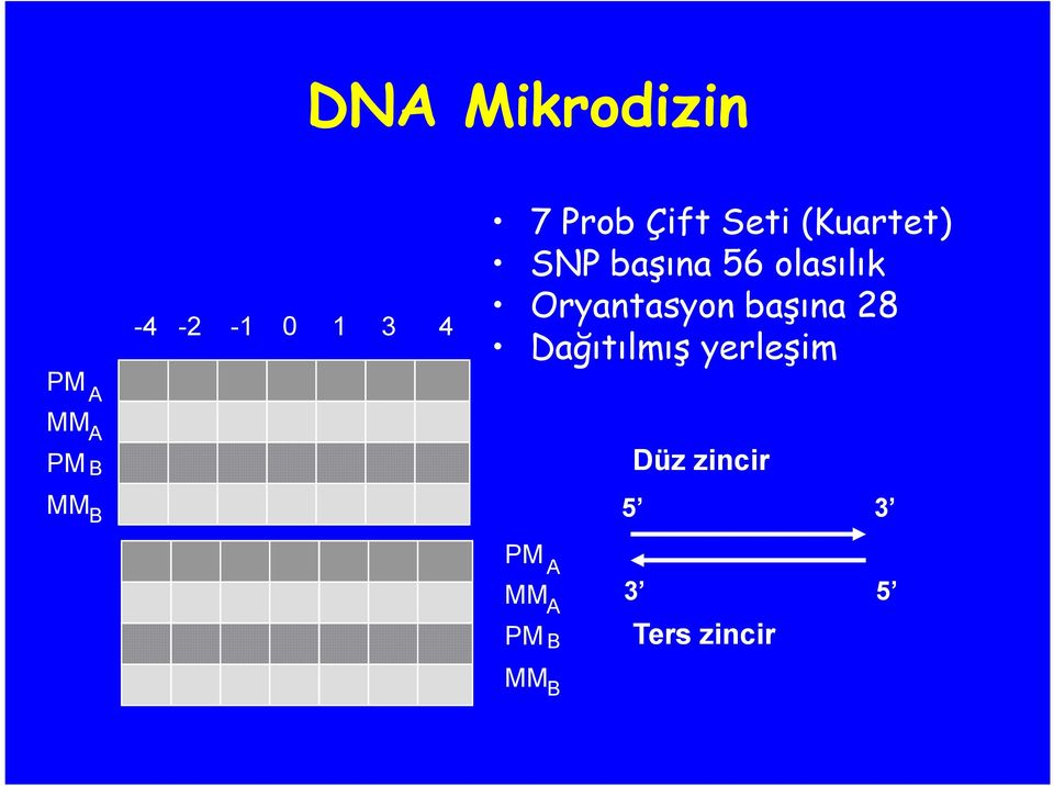 olasılık Oryantasyon başına 28 Dağıtılmış