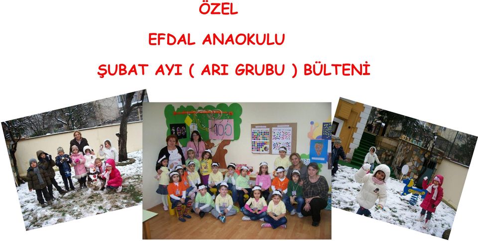 ŞUBAT AYI (