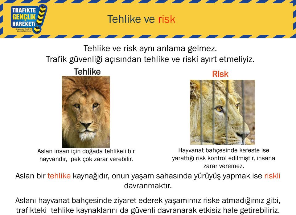 Hayvanat bahçesinde kafeste ise yarattığı risk kontrol edilmiştir, insana zarar veremez.