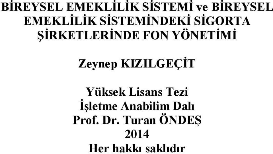 Zeynep KIZILGEÇİT Yüksek Lisans Tezi İşletme