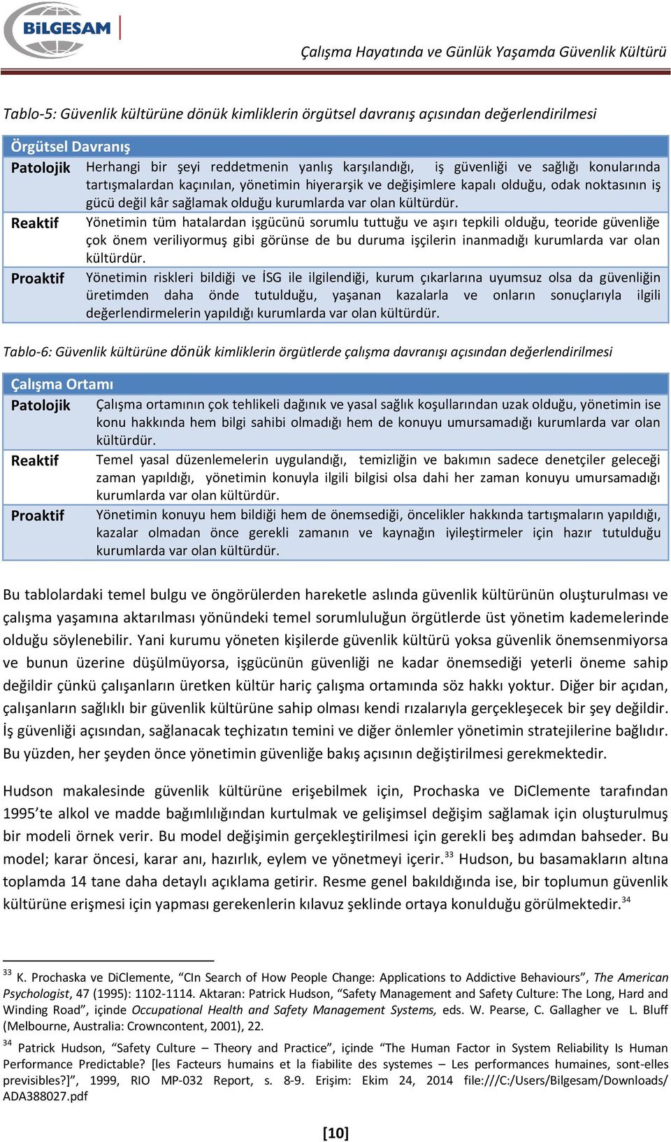 Reaktif Yönetimin tüm hatalardan işgücünü sorumlu tuttuğu ve aşırı tepkili olduğu, teoride güvenliğe çok önem veriliyormuş gibi görünse de bu duruma işçilerin inanmadığı kurumlarda var olan kültürdür.